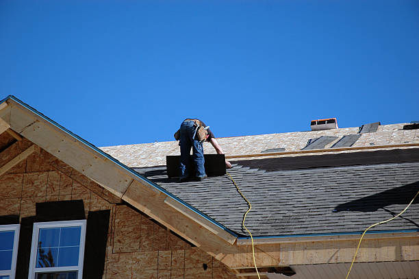 Best Asphalt Shingle Roofing  in Brownlee Park, MI